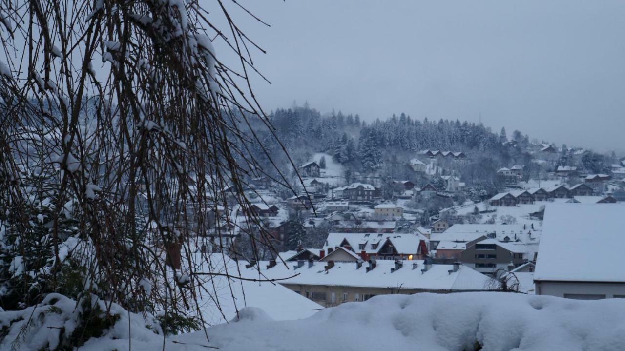 Apartmán L&R Gerardmer Fontaine Exteriér fotografie